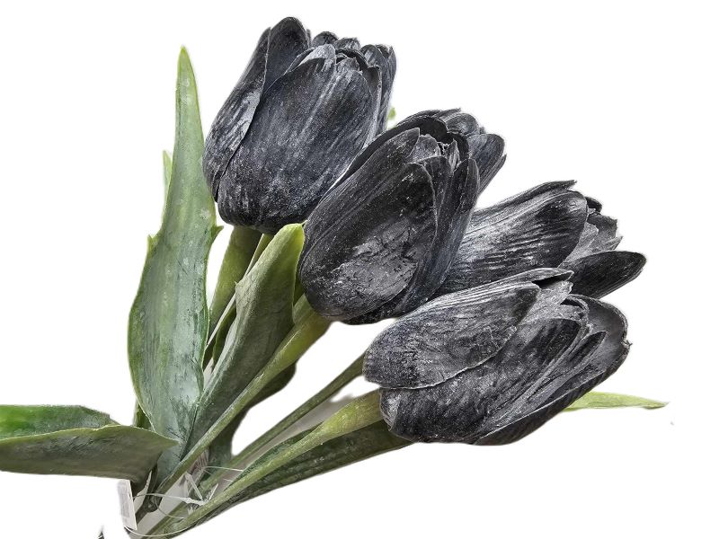 Tulipán s listem - černá